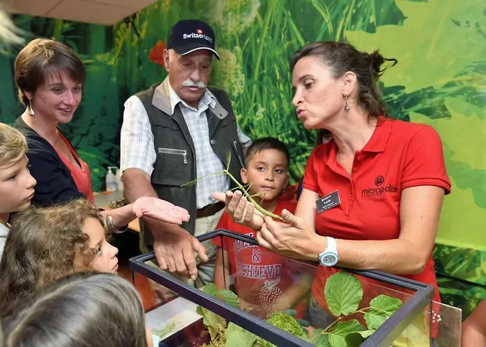 T 2 Dans Village 3 *** A Saint Geniez 2 Piscines Chauffee