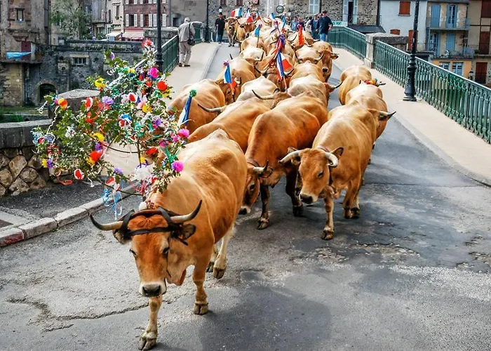 T 2 Dans Village 3 *** A Saint Geniez 2 Piscines Chauffee Lejlighed *